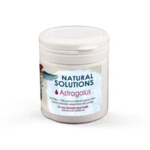 Astragalus (60 vegan capsules)