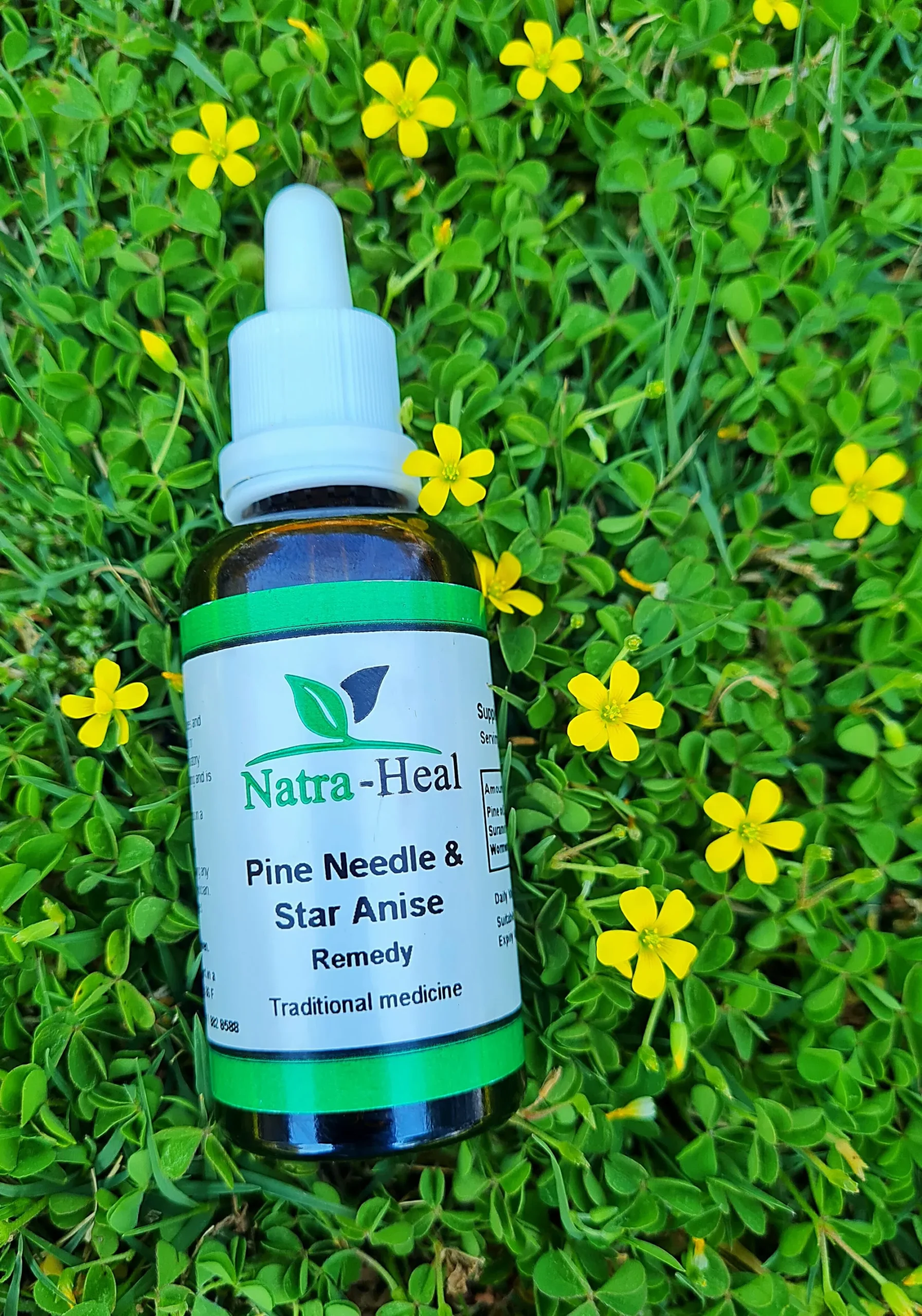 Pine Needle & Star Anise Remedy Tincture 50ml